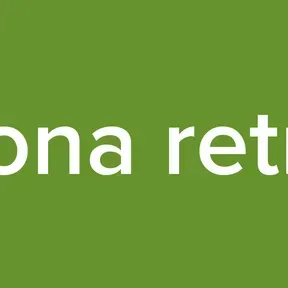 Zona retro