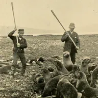 BONUS: What the Media Gets Wrong