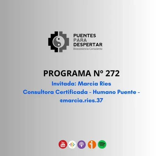 Programa N° 272 de Puentes para Despertar con Marcia Ries Consultora Certificada BEC