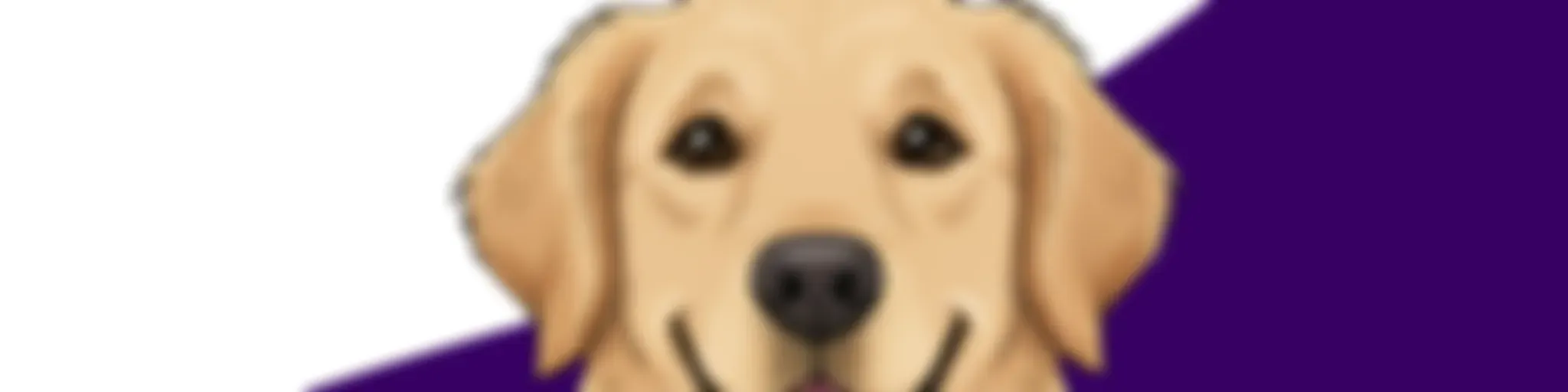 Therapy Dogs Australia Podcast