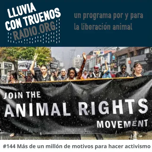 #144 Más de un millón de motivos para hacer activismo