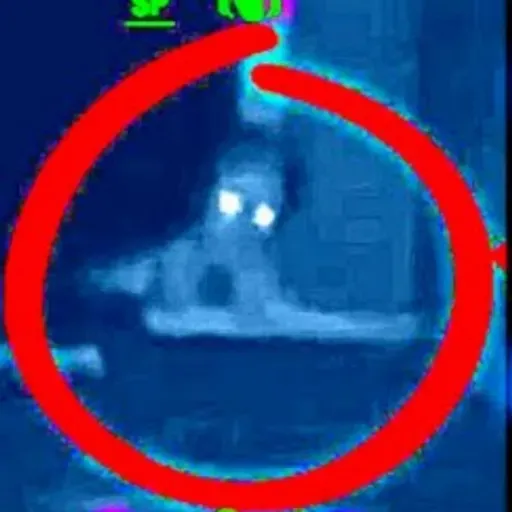 Alien Abductions and Terrifying Alien Encounters True Stories