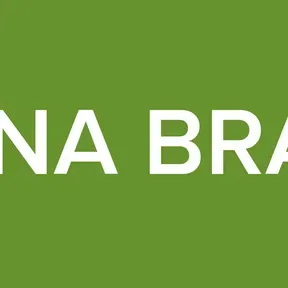 INSANA BRASIL2