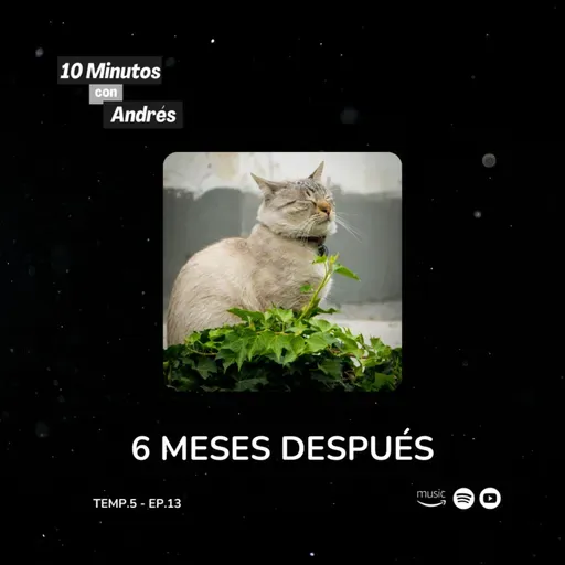 T5. E13. 6 Meses Después