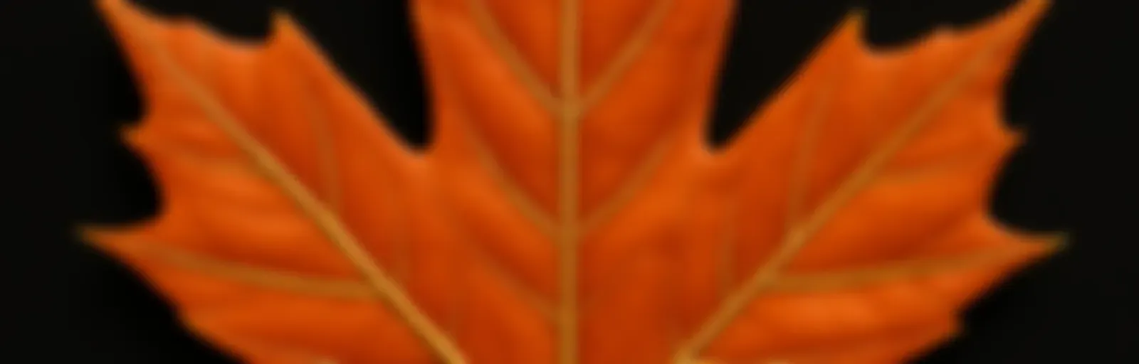 Canadian Orange Podcast