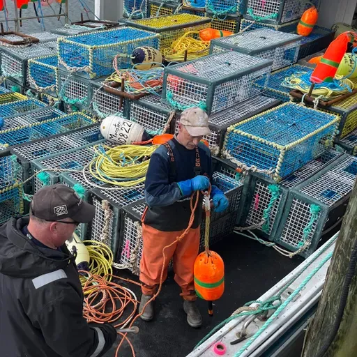 Canadians Grapple with the Wide Impacts of U.S. Tariffs