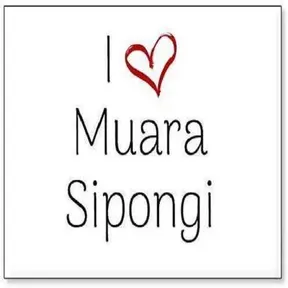 Muarasipongi langsung
