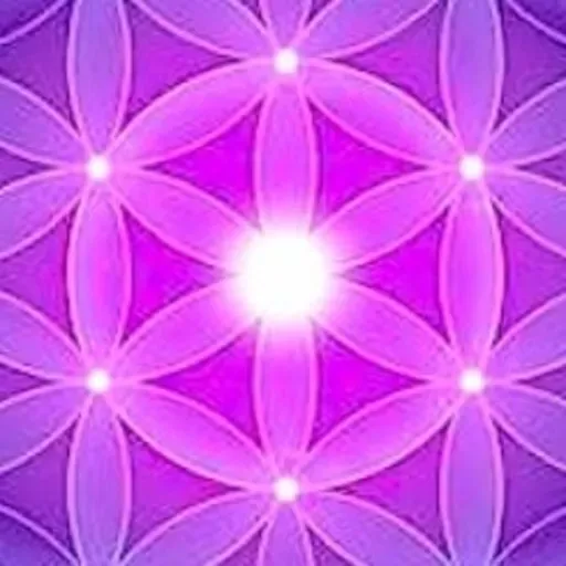 Bases energéticas de la Glandula Pineal.