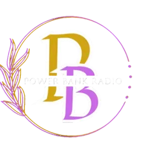 Power Bank Radio