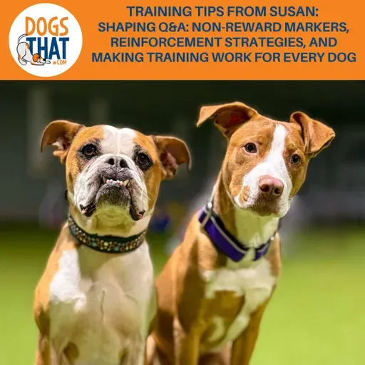 Training Tips From Susan: Shaping Q&A: Non-Reward Markers, Reinforcement Strategies, And Making Training Work For Every Dog