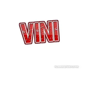 DJ VINI