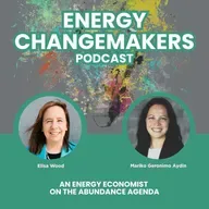 An Energy Economist on the Abundance Agenda