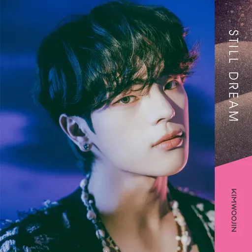 KIM WOOJIN 김우진 Still Dream 
