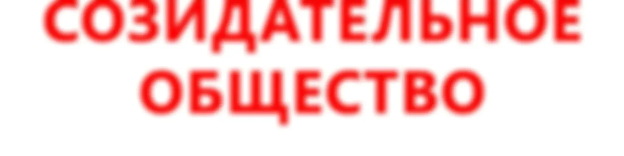 СОЗИДАТЕЛЬНОЕ ОБЩЕСТВО