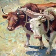 JUEVES XV ORDINARIO CICLO A: Mateo 11, 28-30: EL yugo que en vez de cansar, nos descansa