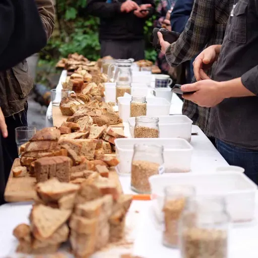 Breaking open the Story of Bread: How stories of food can change the future with Abby Rose of Farmerama