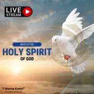 Who is the HOLY SPIRIT of God?