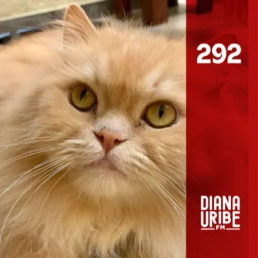 164. HISTORIA DE LOS GATOS - DIANA URIBE.FM