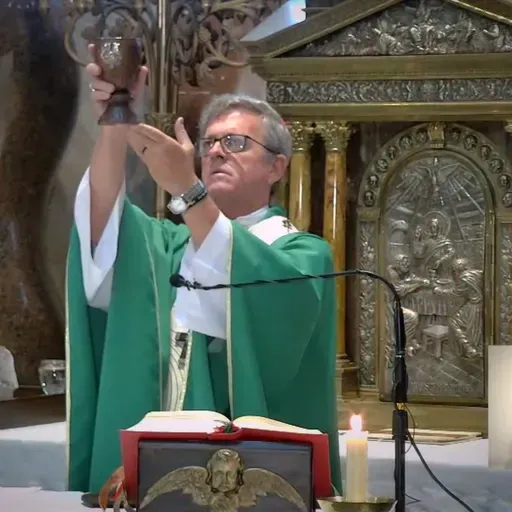 Catedral de Buenos Aires. Santa Misa del domingo 16 de noviembre
