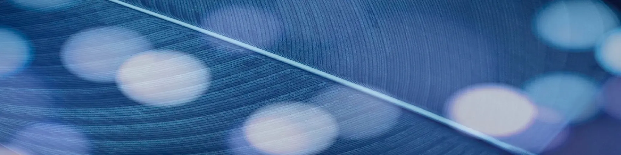 ConnectNet_Gospel
