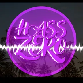 HASSzer0
