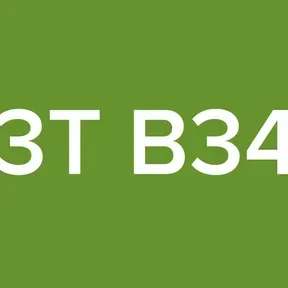 L33T B34Tz