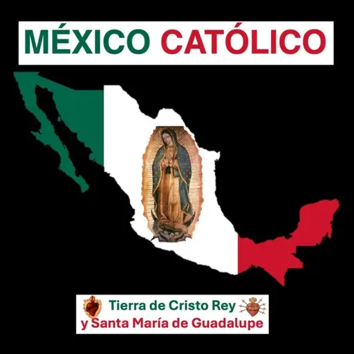 3 María viene a remediar nuestras miserias.