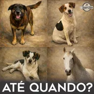 191 -Até quando?