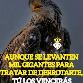 Anasheeeeee