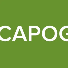 Radio DJ CAPOGRIGIO 1.0