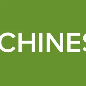 BTGO CHINESE 952