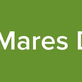 Radio Mares Del Sur