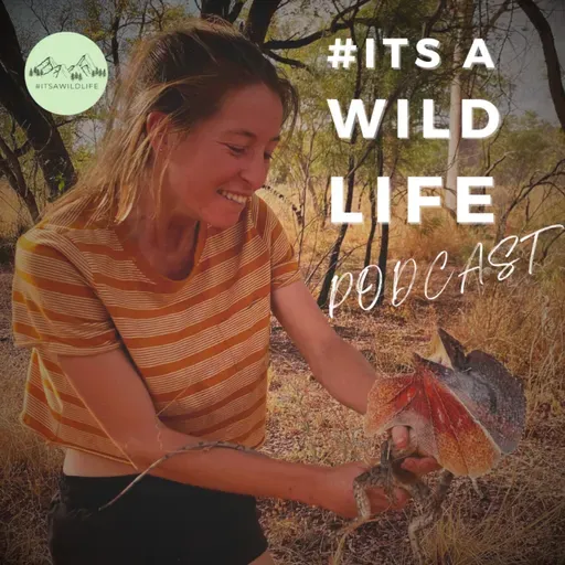 Pairing neuroscience and conservation with María Dabrowski