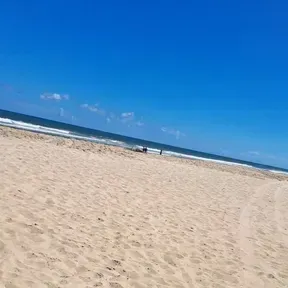 Ana catarina