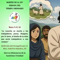 Reflexión del Evangelio del 08 de Julio de 2025