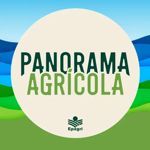 01 de maio - Produtores podem restaurar áreas de preservação permanente recebendo apoio financeiro
