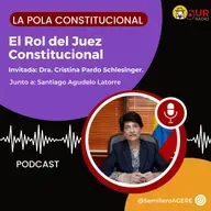 El Rol del Juez Constitucional.