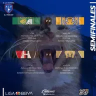 Las Semifinales Felinas T7 C20