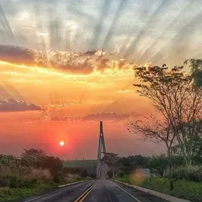 Rádio raíz