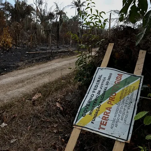 Desespero da seca: indígenas no Amazonas usam a pouca água que têm para apagar incêndios