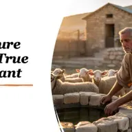 Episode 1269: The Posture of a True Servant