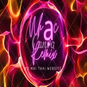 Nhạc Viet Remix