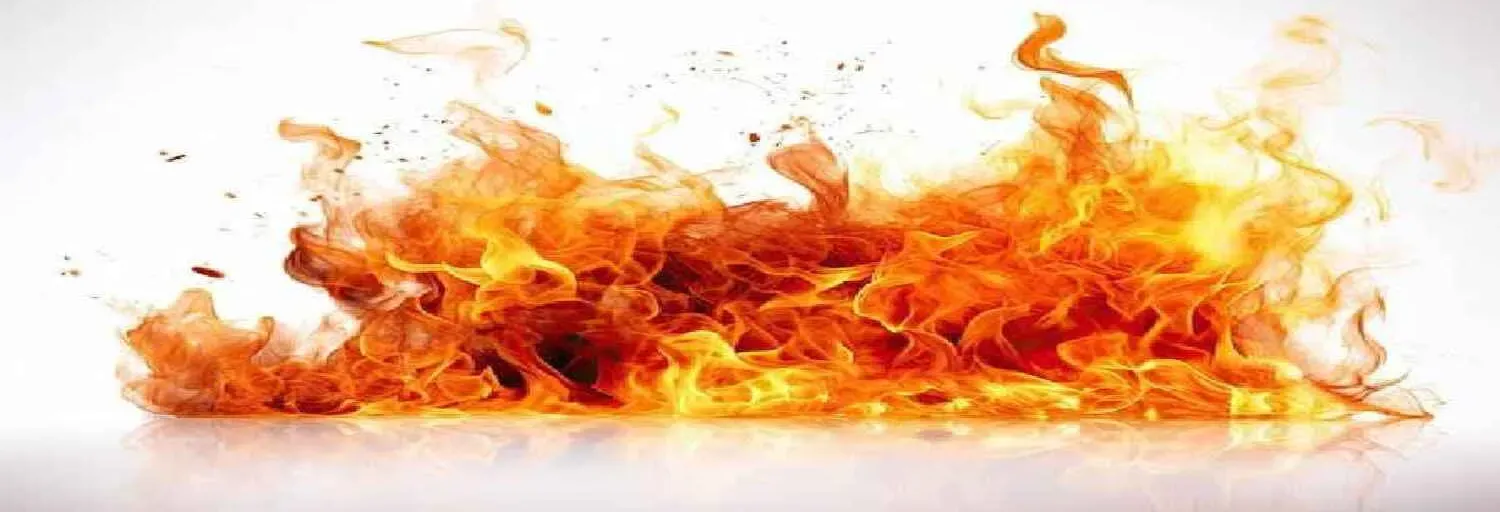 DJ FIREE