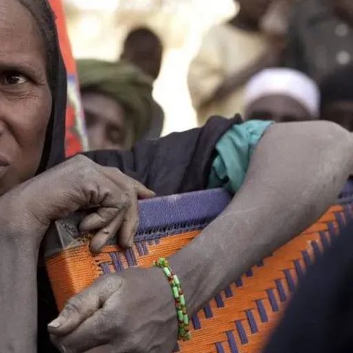 Le journal du 10 décembre 2025 - L’ONU salue les actions de l’État nigérien en faveur des droits de l'Homme