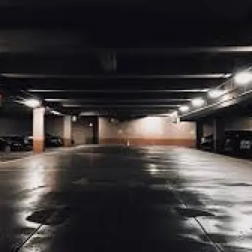 Algo ocurrió en la planta - 2