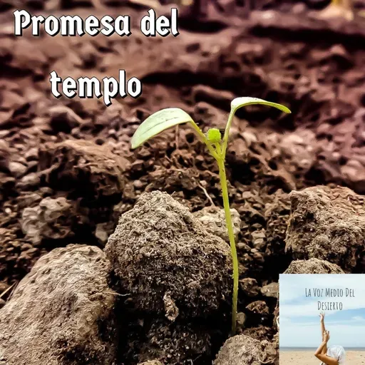 Promesa del templo