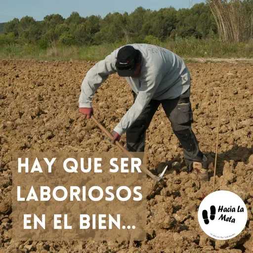HAY QUE SER LABORIOSOS EN EL BIEN