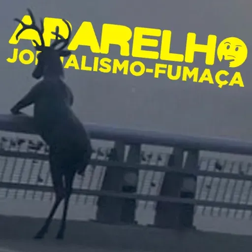 Aparelho: A criação de um Brasil jovem