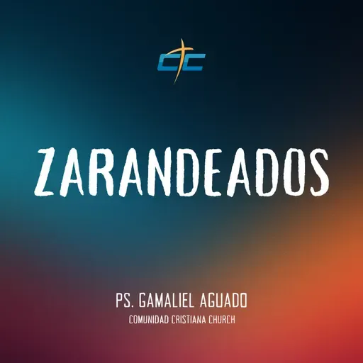 Zarandeados