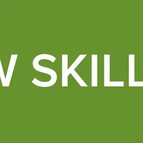 LOW SKILL FM